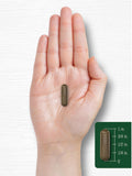 Carlyle Schizandra Fruit Capsules 1160mg with measuring spoon