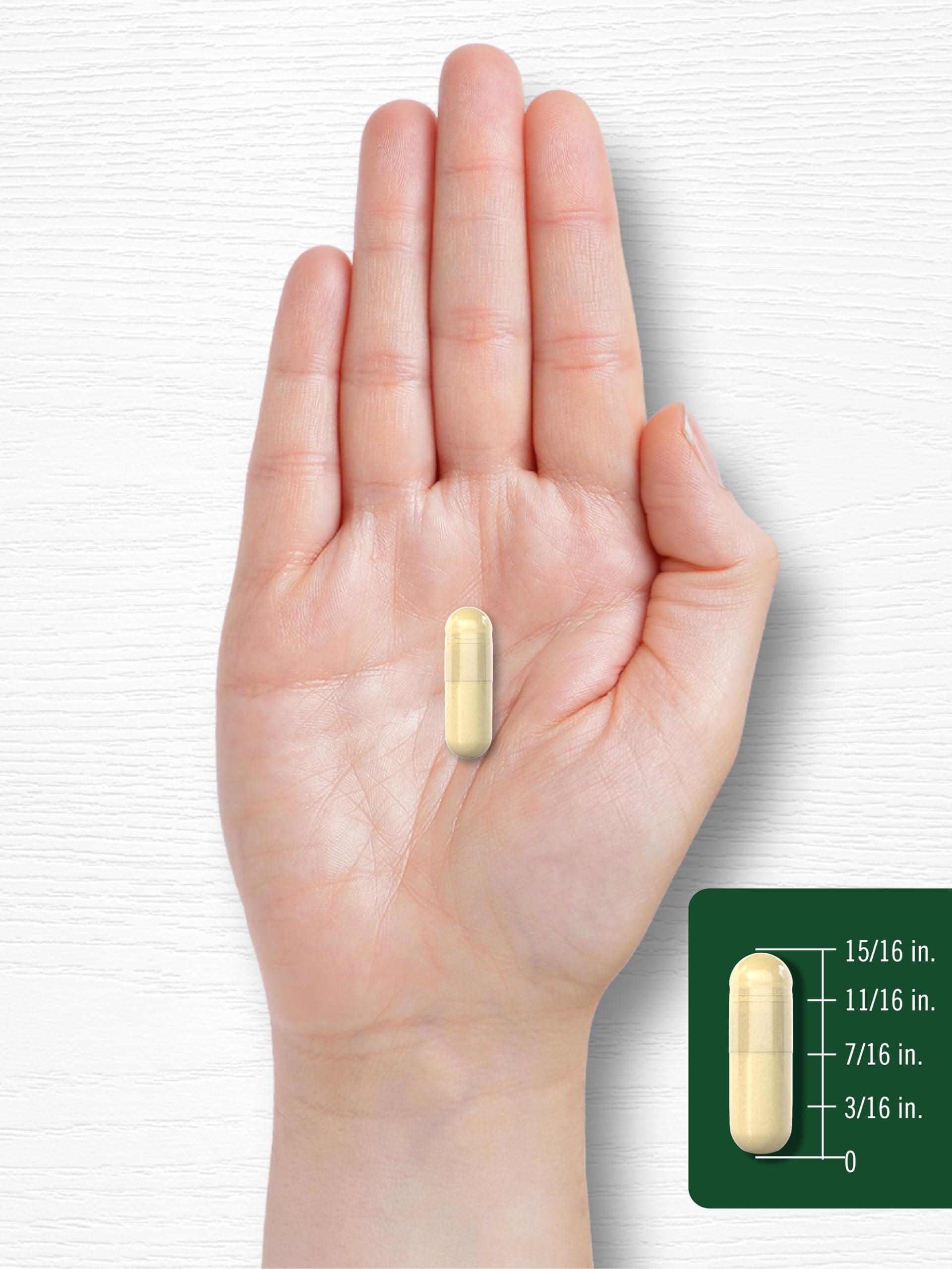 Carlyle Soy Isoflavones Extract Capsules lifestyle scene