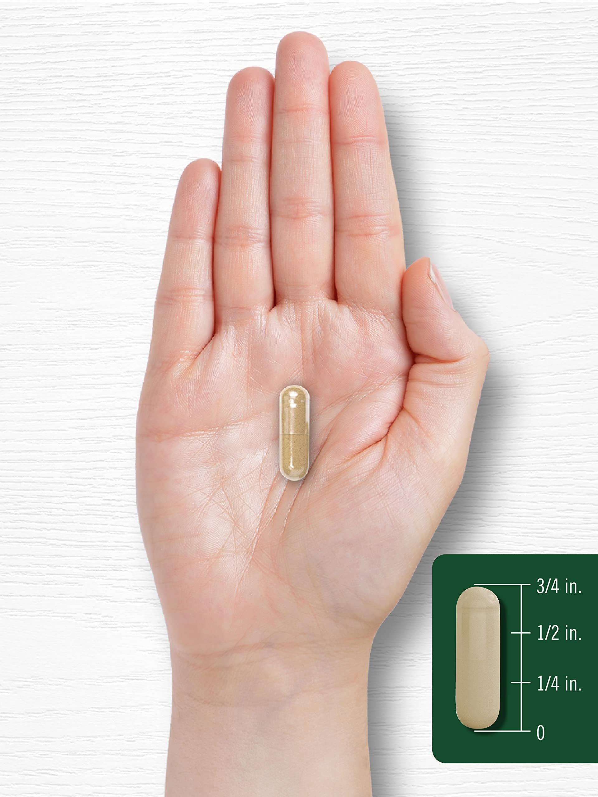 Carlyle Stinging Nettle Herbal Supplement bottle with capsules