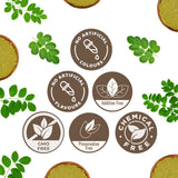 CARMEL ORGANICS Moringa Leaves Powder 249g close-up of powder