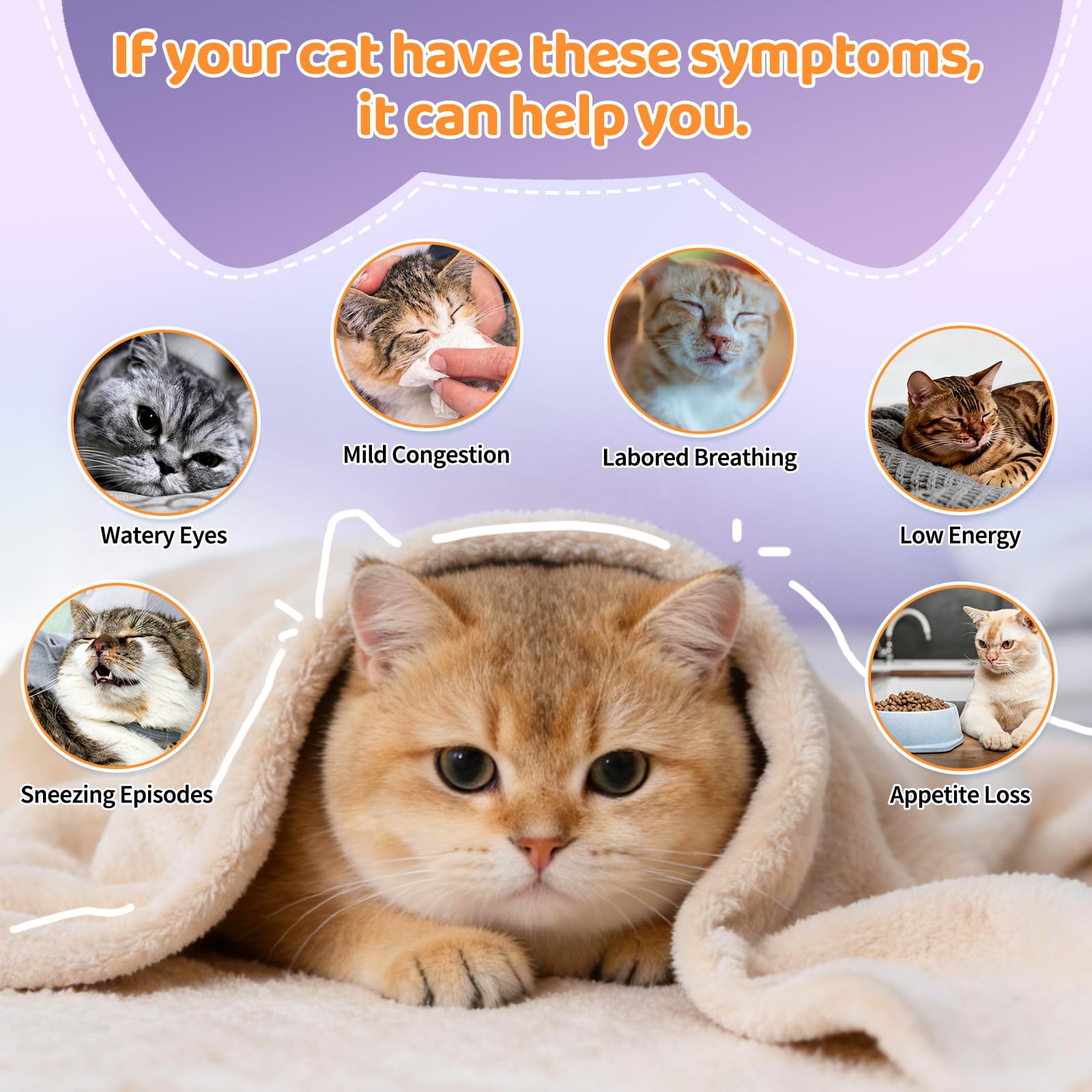 Carmelie L-Lysine Cat Supplements ingredients list