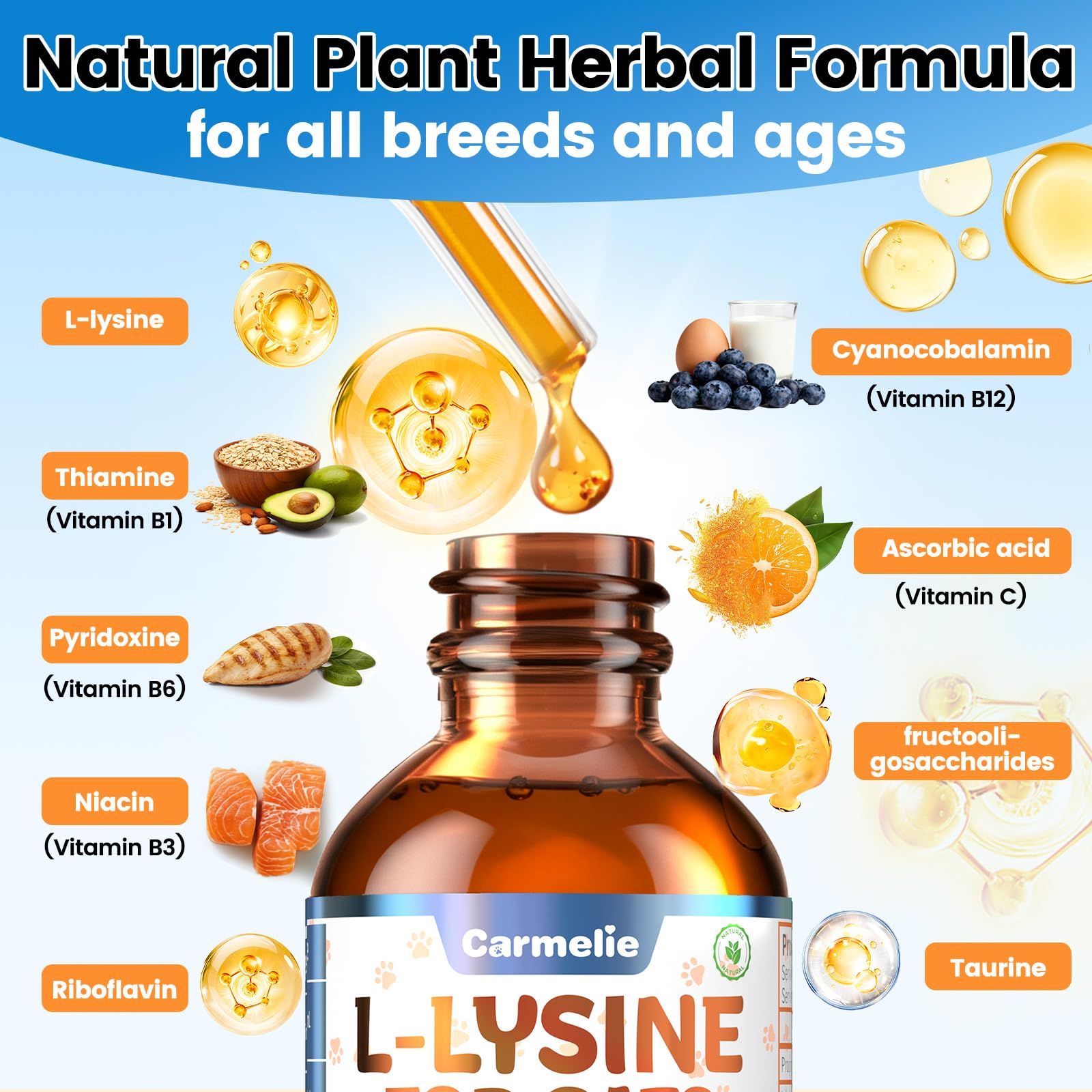 Carmelie L-Lysine for Cats ingredients list