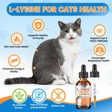 Carmelie L-Lysine for Cats liquid in a bowl