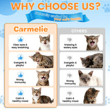 Carmelie L-Lysine for Cats with a cat