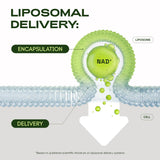 Cata-Kor Liposomal NAD+ Supplement 250mg packaging