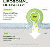 Cata-Kor Liposomal NAD+ Supplement 250mg packaging