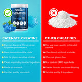 CATENATE Creatine Gummies on a gym bench
