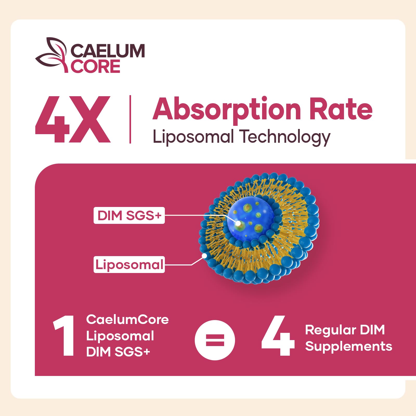 CEALMU CORE DIM SGS Supplement 600mg lifestyle scene