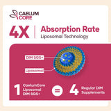 CEALMU CORE DIM SGS Supplement 600mg on a wooden table
