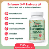 CEALMU CORE Goldenseal Supplement bottle side view