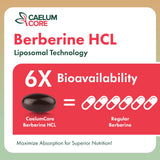 CEALMU CORE Goldenseal Supplement with measuring scoop