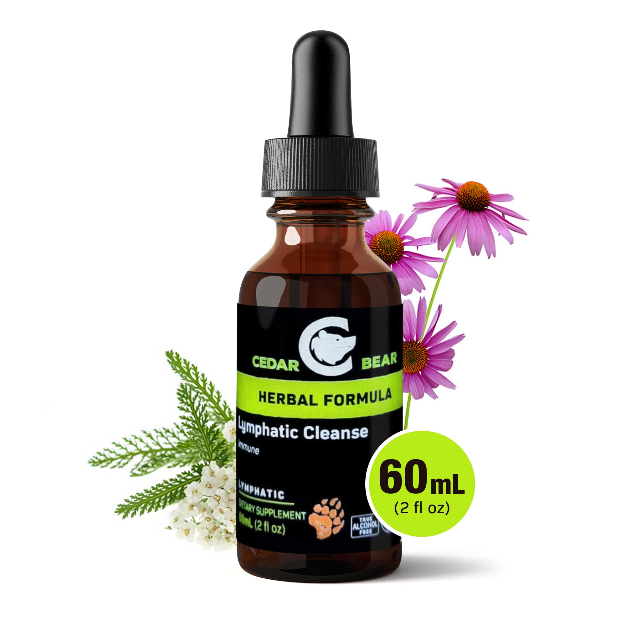 Cedar Bear Naturales Lymphatic Drainage Drops 137g lifestyle scene