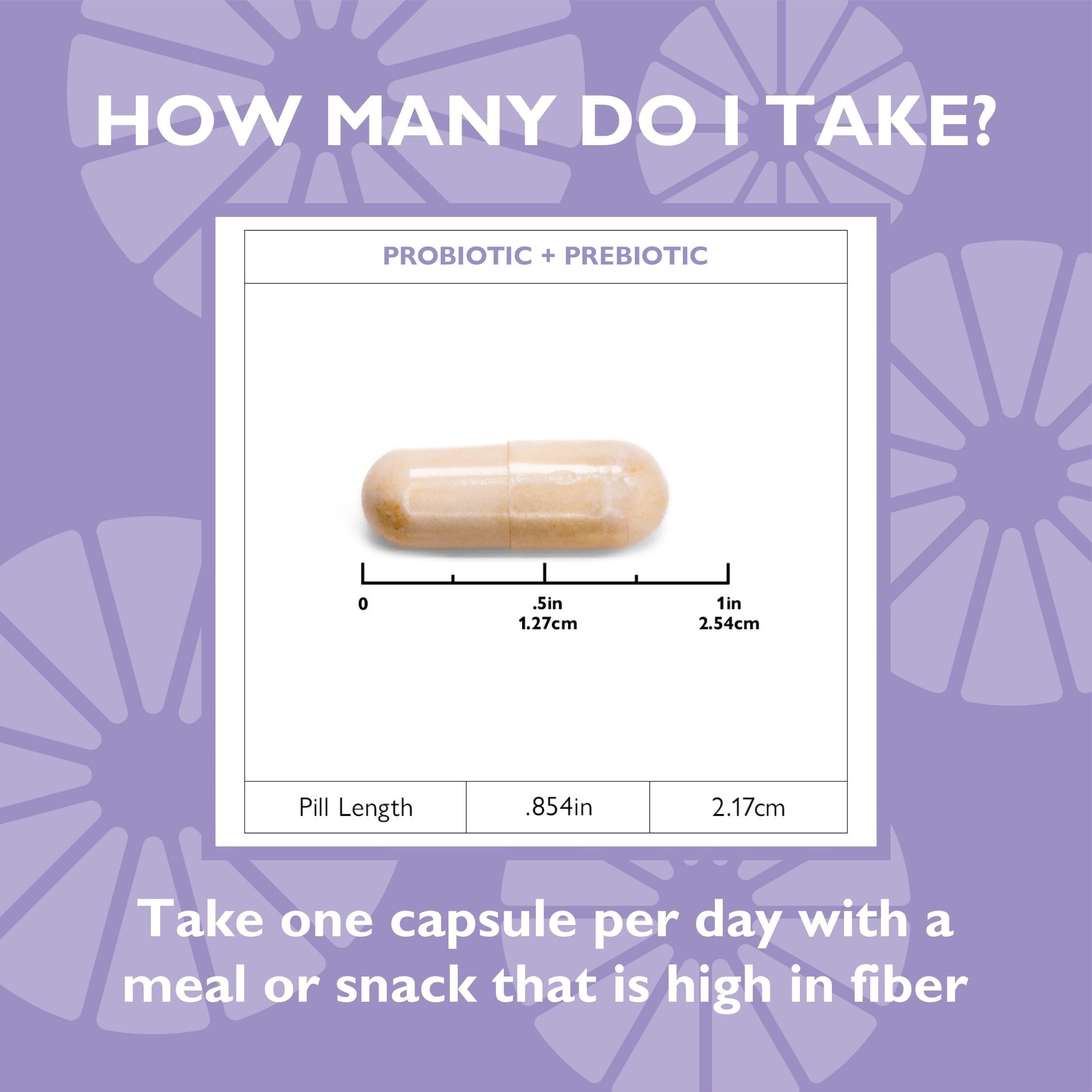 Celebrate Bariatric Supplements Probiotic + Prebiotic Capsules back view