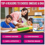 Celebrity LifeStyle Omega-3 Gummies for Kids ingredients list