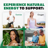 CELL POWER Blended Vitamin & Mineral Supplement ingredients list