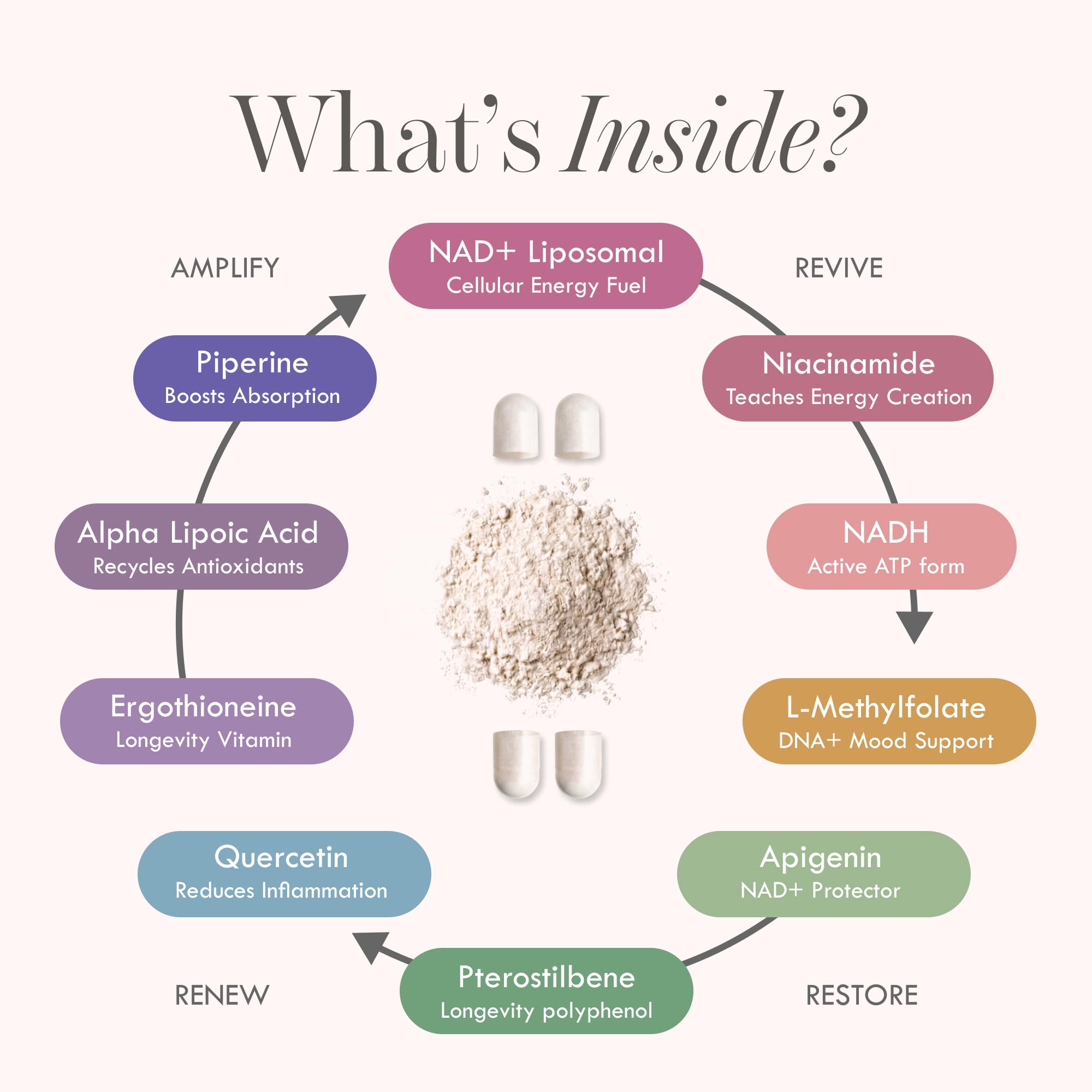 Cell Theory Resveratrol NAD+ Support Supplement ingredients list