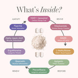 Cell Theory Resveratrol NAD+ Support Supplement ingredients list