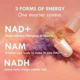 Cell Theory Resveratrol NAD+ Support Supplement nutritional information