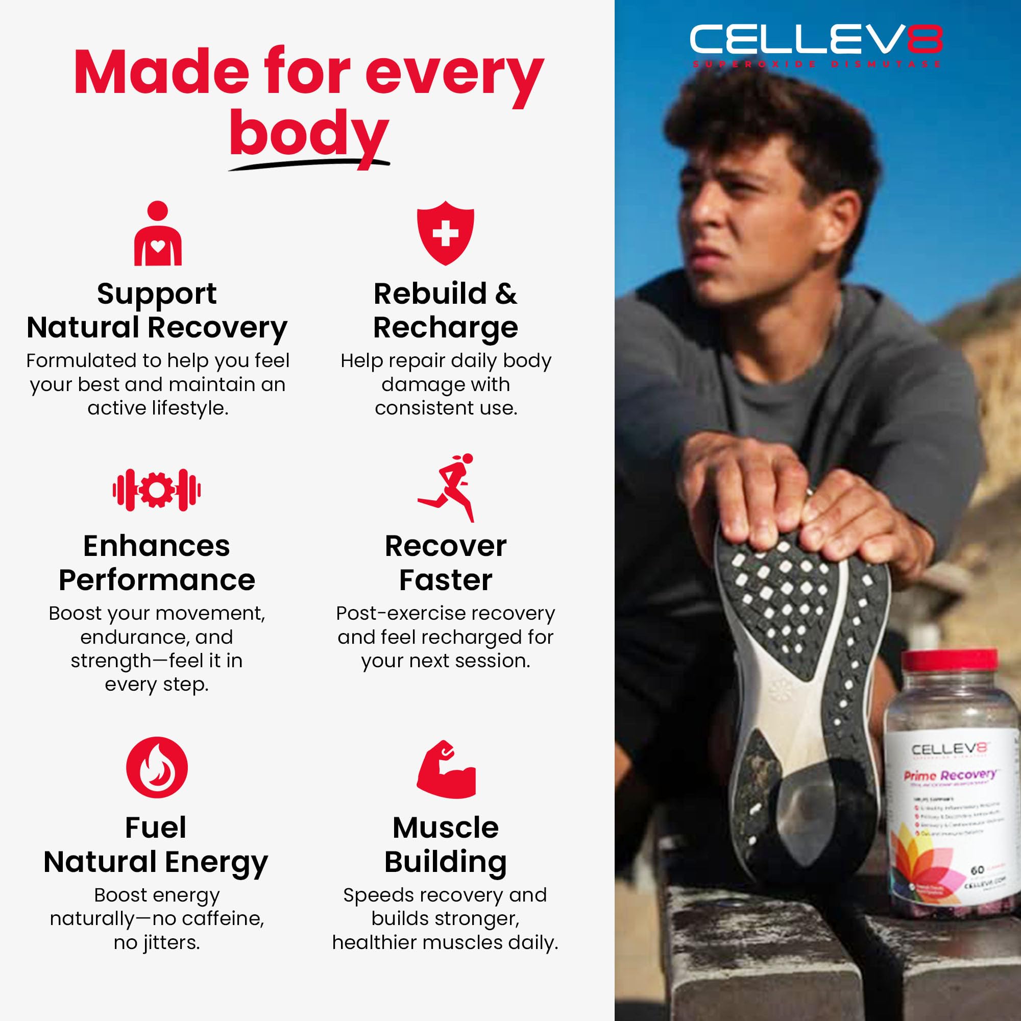 Cellev8 Superoxide Dismutase Gummies ingredients list