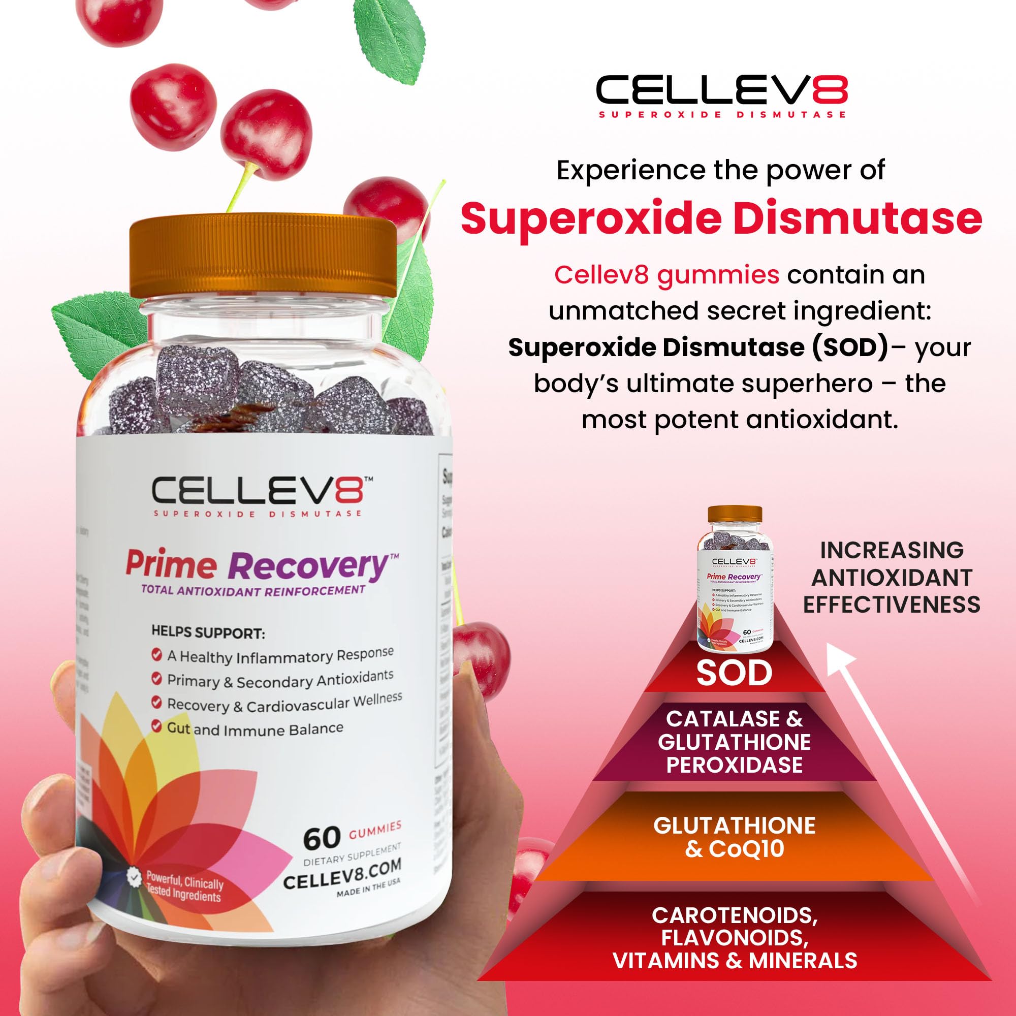 Cellev8 Superoxide Dismutase Gummies nutritional information
