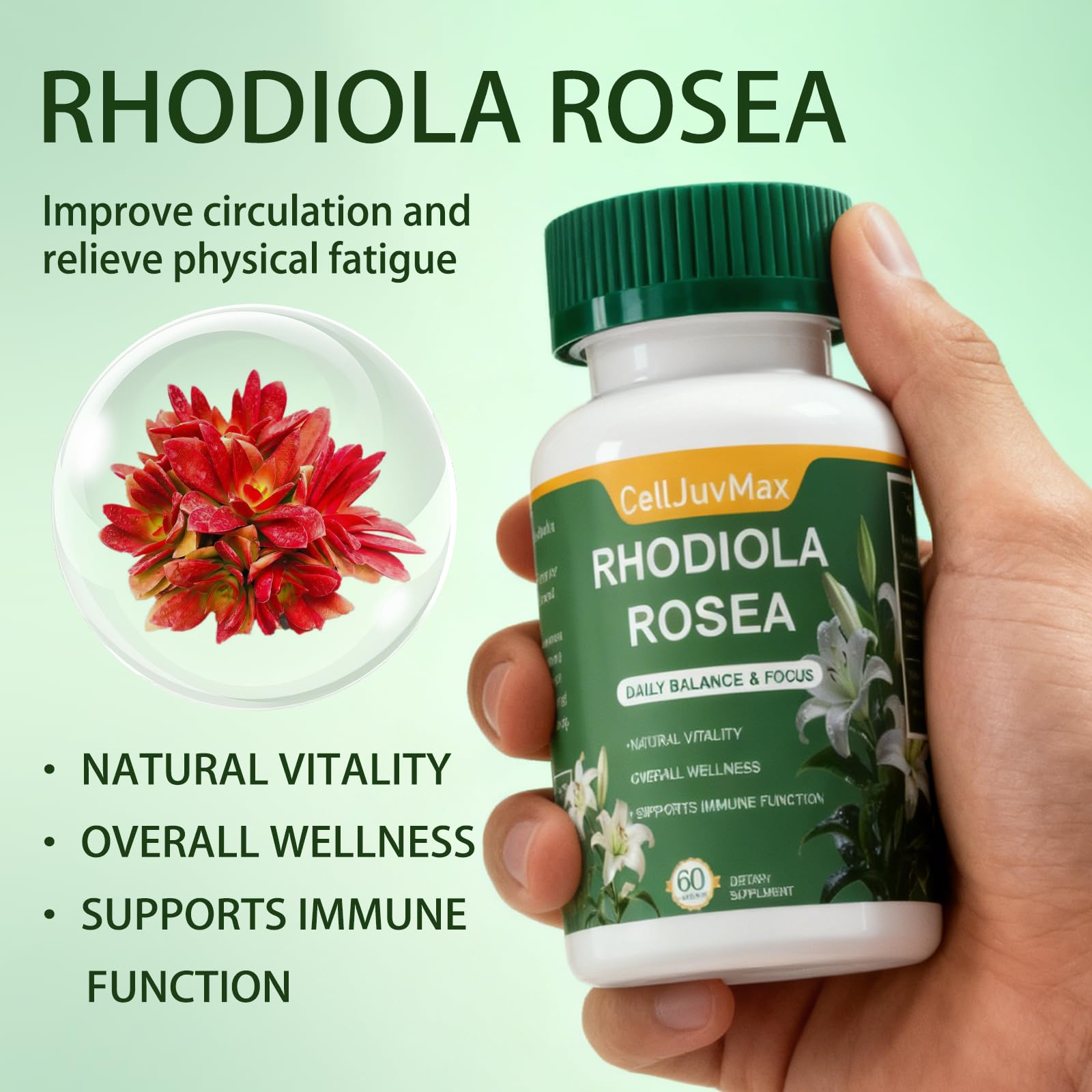 CellJuvMax Rhodiola Rosea Capsules packaging details