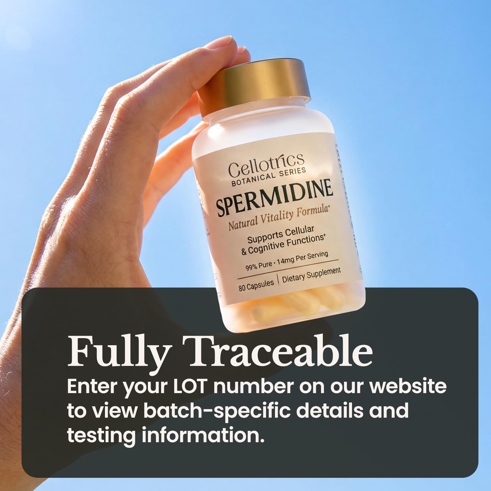 CELLOTRICS Spermidine 14mg 3HCl capsules with tree seedling