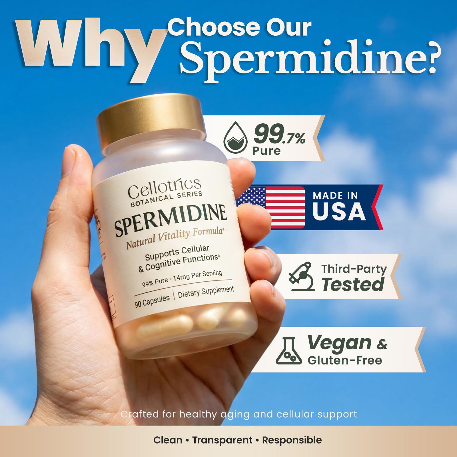 CELLOTRICS Spermidine 14mg 3HCl vegan capsules bottle with label