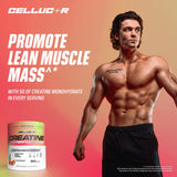 Cellucor COR-Performance Creatine 315g mixed in water