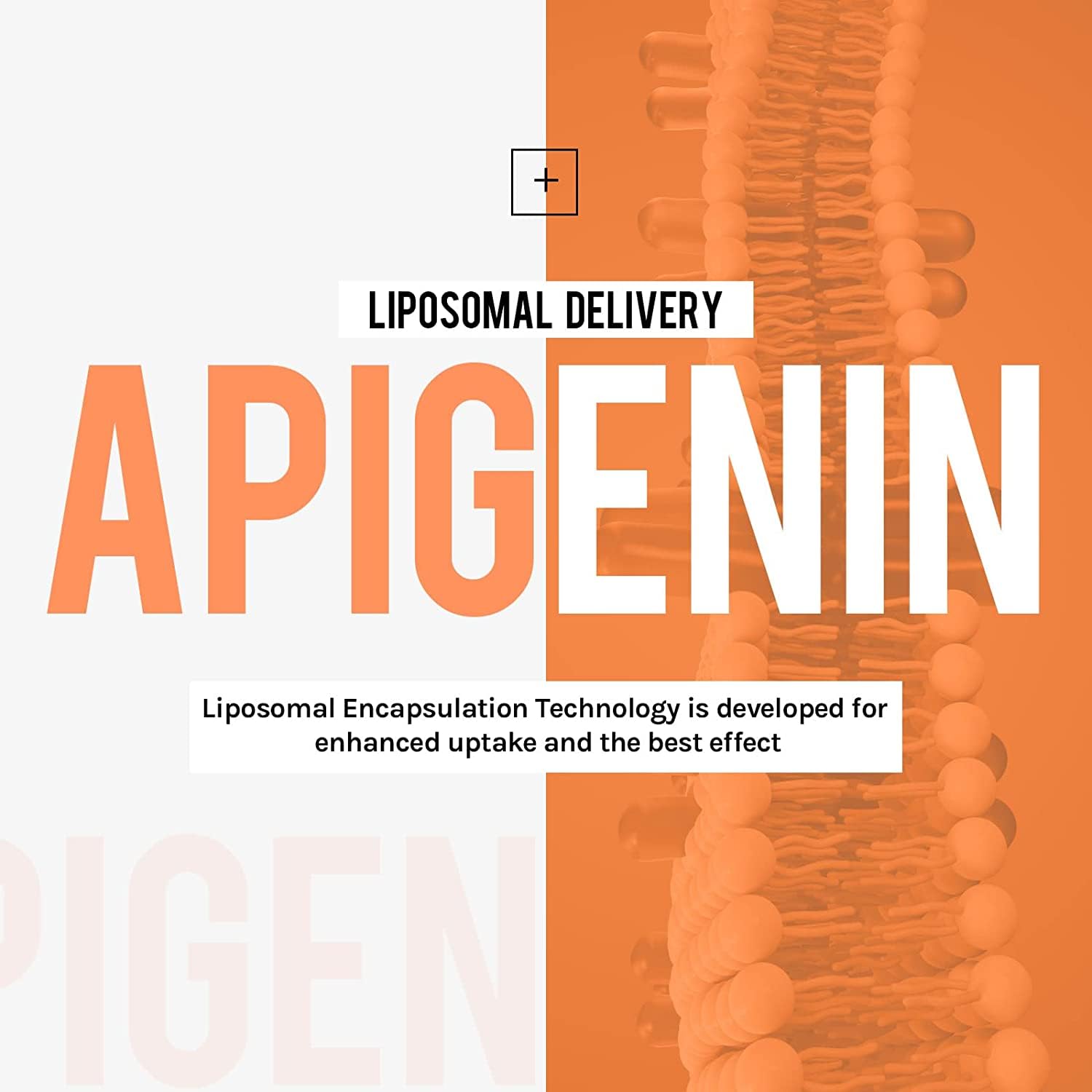 Cenffitio Liposomal Apigenin Softgels 500mg side view
