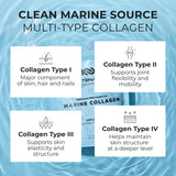 Centenarius Nutrition Marine Collagen Powder 301g back view