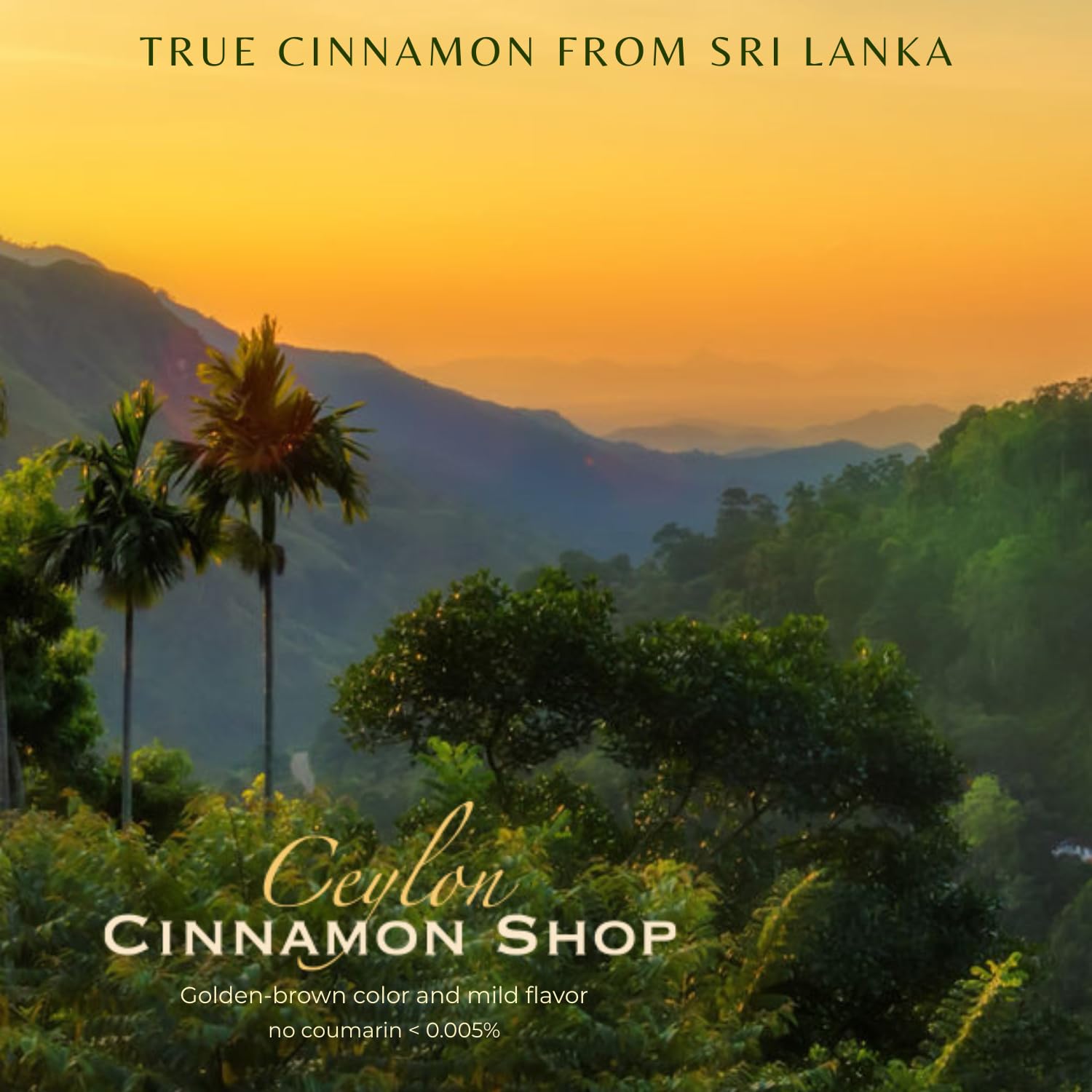 Ceylon Cinnamon Shop Organic Ceylon Cinnamon Capsules back view