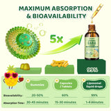 CFILIHTC Liposomal GABA L-Theanine Drops in light pineapple flavour