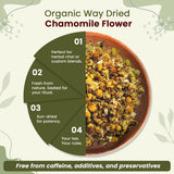 Chamomile flowers for DIY herbal blends