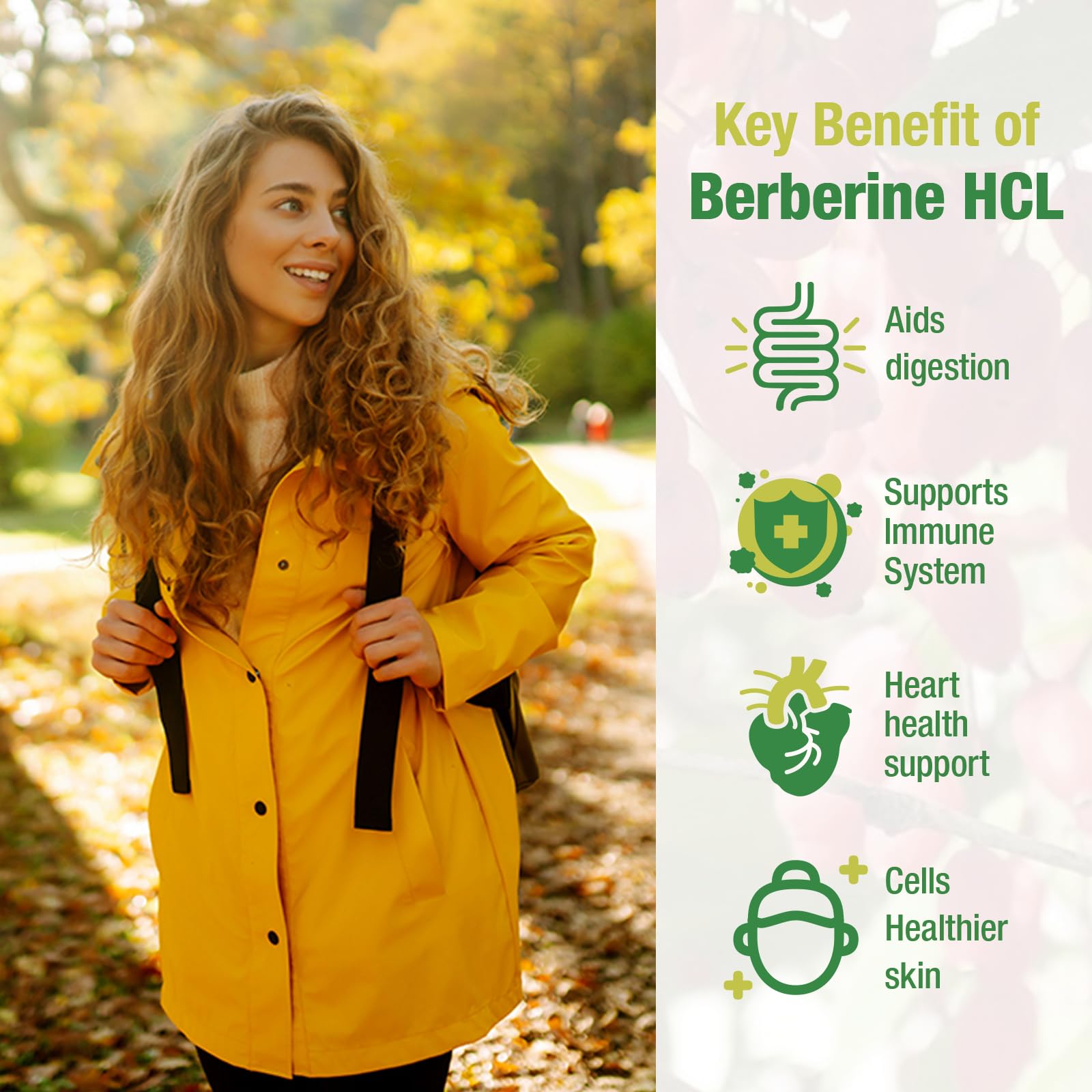 CHANUBITO Berberine HCl Supplement lifestyle scene on a kitchen counter