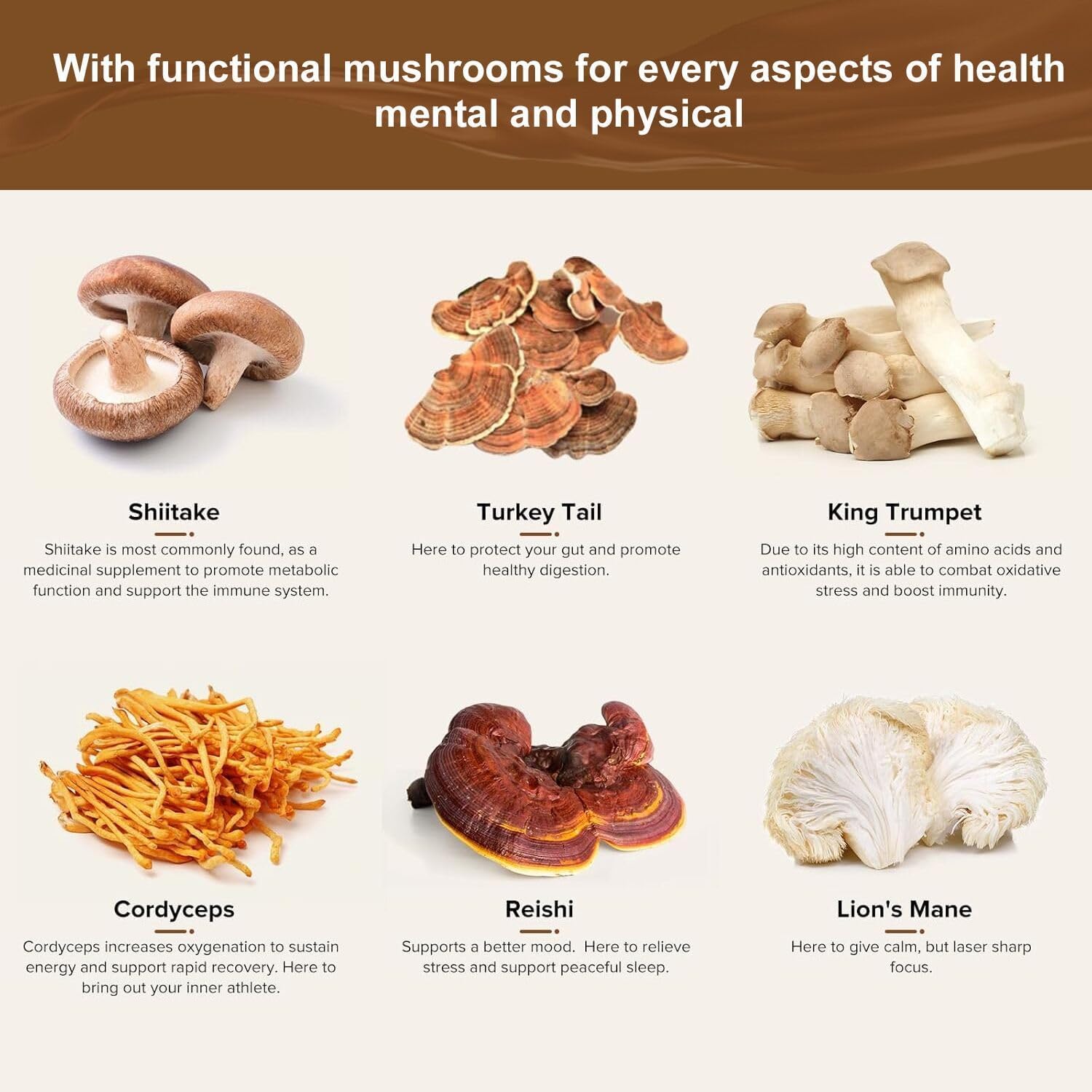 CHATTER PAWS Organic Mushroom Coffee ingredients list