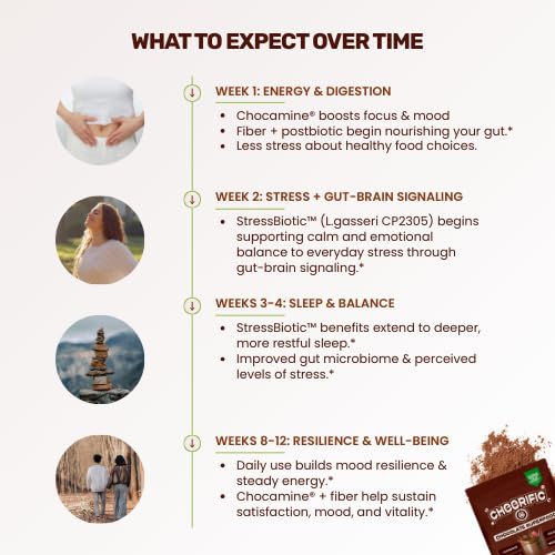 Cheerific Dark Chocolate Superfood Powder ingredients list
