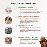 Cheerific Dark Chocolate Superfood Powder ingredients list