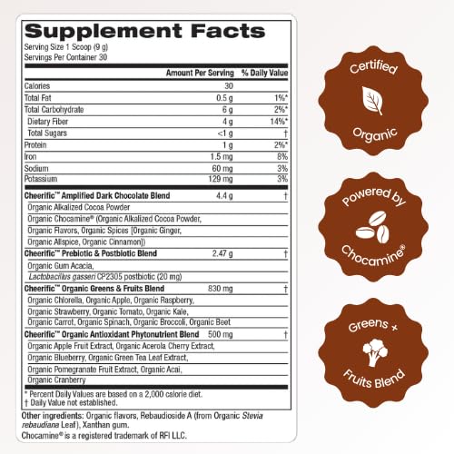 Cheerific Dark Chocolate Superfood Powder with organic superfoods