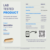 Chemist Labs Spermidine Supplement 100x Formula in a wellness setting