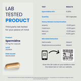Chemist Labs Spermidine Supplement with 120 servings