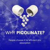 Chemist Labs Zinc Picolinate Supplement 30mg capsule close-up