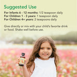 ChildLife Essentials Zinc Plus Liquid Supplement 481g ingredients list