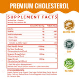 ChiQwench Cholesterol Support Gummies mixed berry flavour close-up
