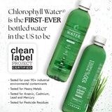 Chlorophyll Water bottle in a lifestyle setting with fruits