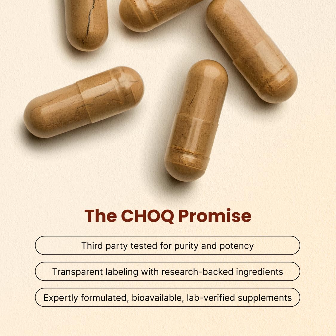 CHOQ Mushroom Supplement ingredients list on packaging