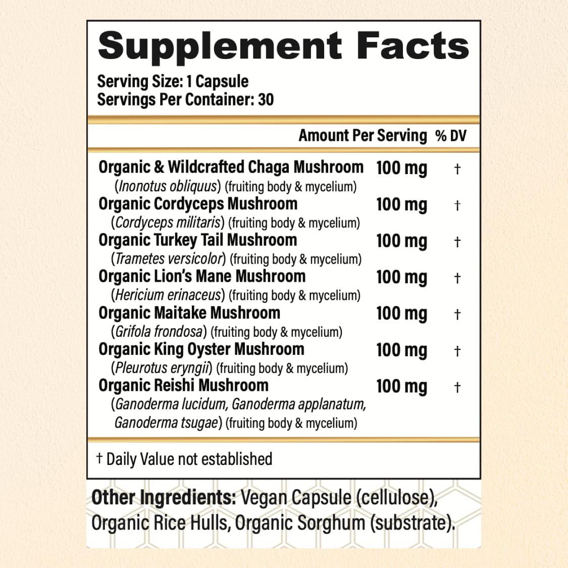 CHOQ Mushroom Supplement packaging with dimensions