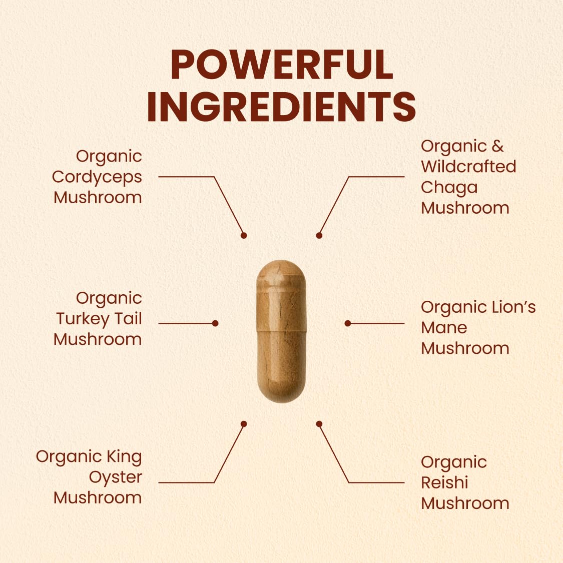 CHOQ Mushroom Supplement side view showing capsule details