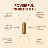 CHOQ Mushroom Supplement side view showing capsule details