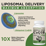 Ciaceae CoQ10 800mg softgels in hand