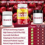 Ciaceae CoQ10 Gummies 400mg showing serving size
